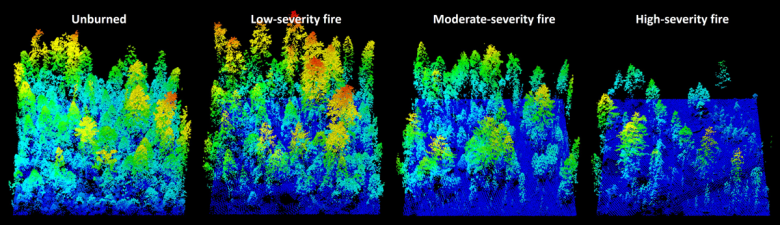 Artificially colored images of forest plots from multispectral imagery showing an unburned plot compared with those burned by low-, moderate-, or high-severity fires
