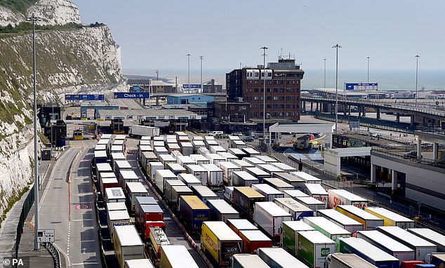 Freight lorry queues continue at The Port of Dover in Kent on Friday - as P&O Ferries services remain suspended