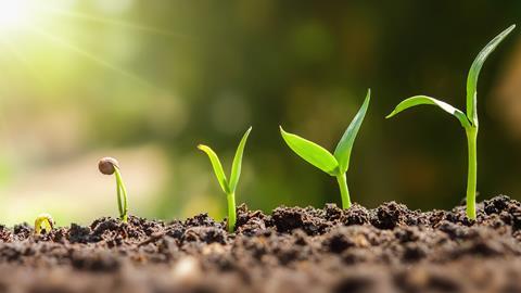 GettyImages-1094263056