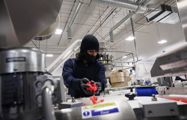 Edible cannabis manufacturing