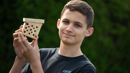 Ashton Fulcher has been creating and selling bug and hedgehog houses out of pallets to raise money t