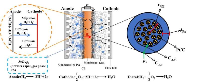 Schematic of the cathode catalyst layer based on the agglomerate assumption. Credit: Sun Mu Predicting distribution of phosphoric acid and water in high-temperature polymer electrolyte membrane fuel cell