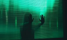 transparency