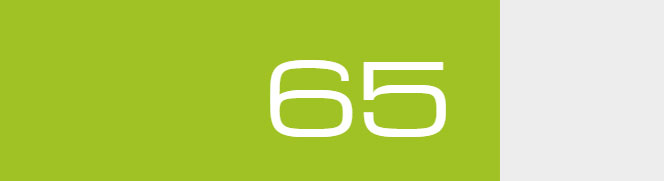 Overall Score - 65