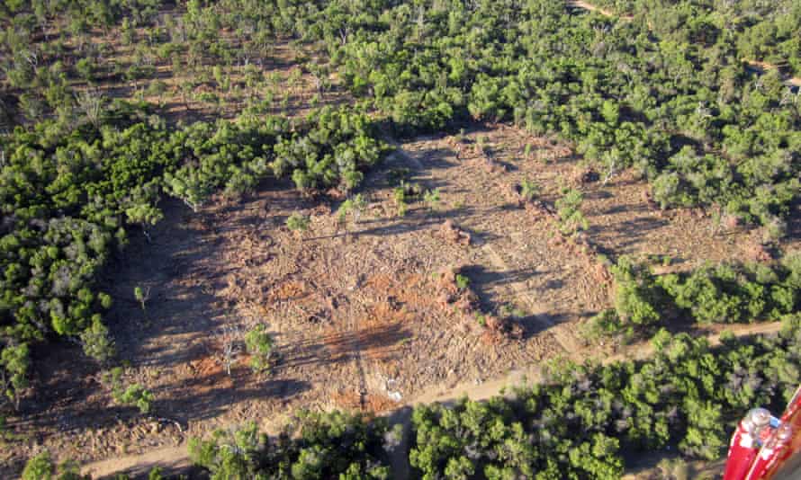WA land clearing