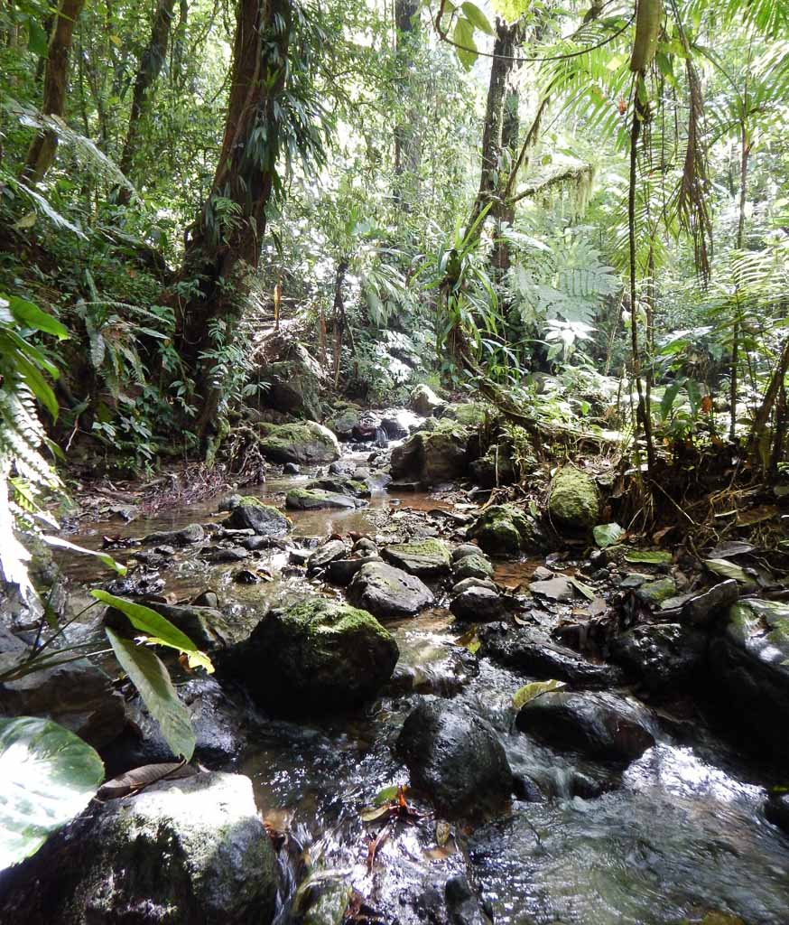 Shipping a motorcycle across the Darien Gap