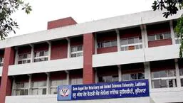 The evening at GADVASU, Ludhiana, saw many dance performances by both senior and junior girls hostellers, and a variety of entertaining games. (HT FILE)