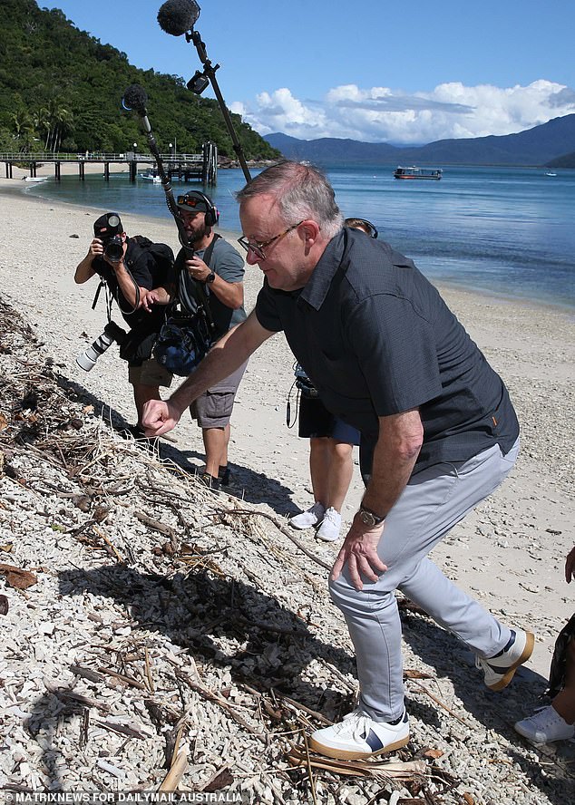 Everything but history points to a Labor victory but Albanese says the party still has 'a mountain to climb'. 'We've won office three times since the Second World War,' he says. He is pictured on Fitzroy Island off Cairns on May 13