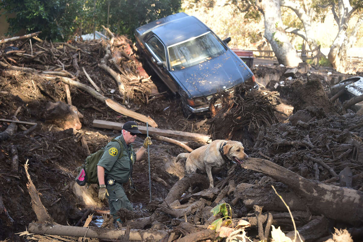 A member of a search and rescue team and his dog sift through debris looking for victims on a property in Montecito, Calif., Jan. 12, 2018. Heavy rains on Jan. 9 sent rivers of waist-high mud and debris flowing from the hills into Montecito. Twenty-three people died in the slides.