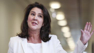 Coalition minister Jane Hume says the NDIS is not a “political football”.