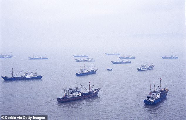 Fishing vessels / trawlers in the harbour of Jin Shan Island | Location: Jin Shan Island, Aurora, China. A new plan announced by Quad leaders creates a 'Partnership for Maritime Domain Awareness'