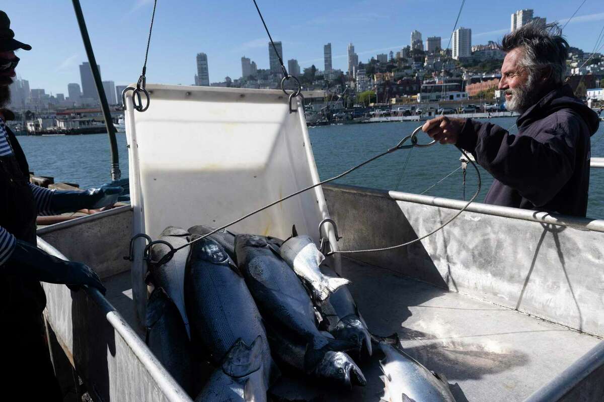 Michael Mcgowen, left, and Joe Garofalo help unload salmon from Jason Salvato’s boat Willanina at Pier 45 in San Francisco on Wednesday.