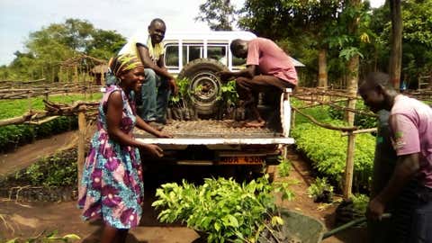 Uganda project. (Gow-Trees)
