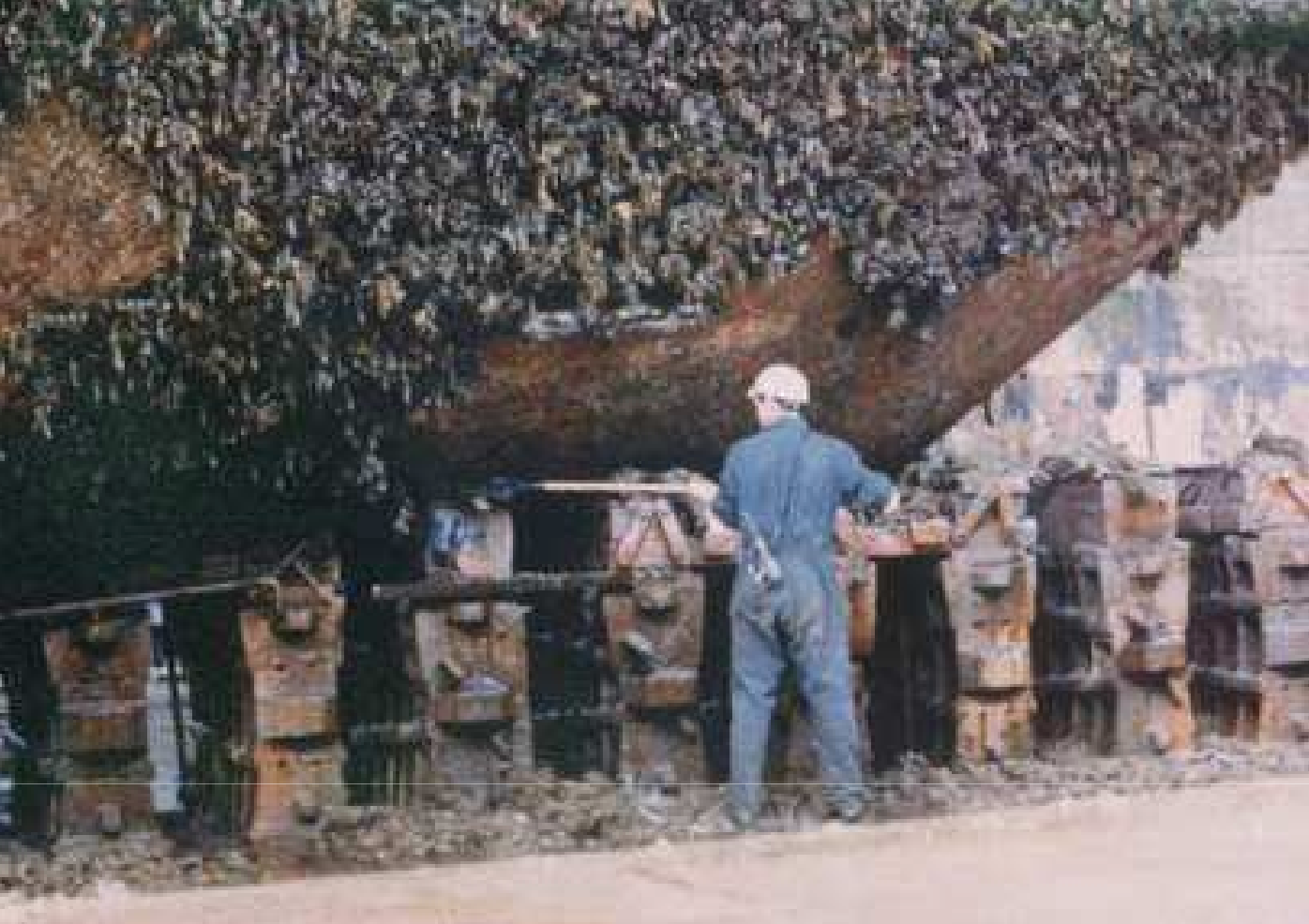 Fouled ship hull