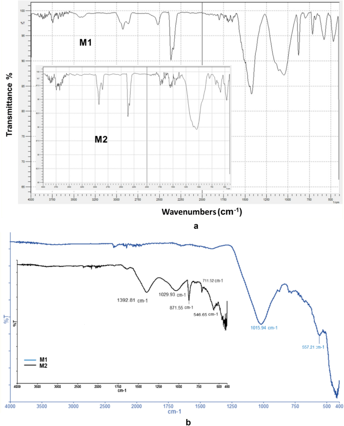 figure 31