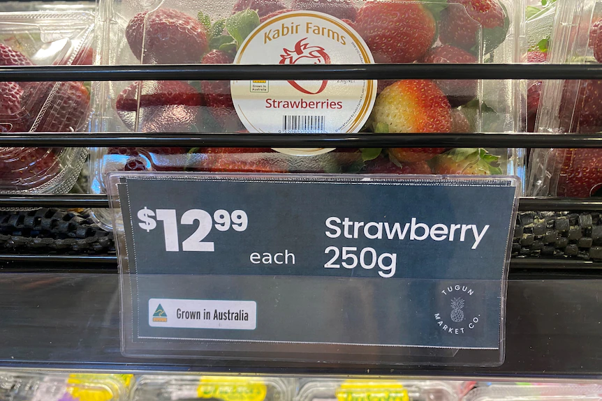 Punnet of strawberries for $12.99.