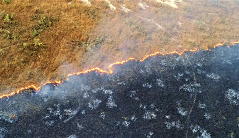 Monitoring fire spread from above shows how completely a landscape burns under favorable conditions. Credit: Anabelle Cardoso Crossing fire threshold can quickly turn blazes dangerous
