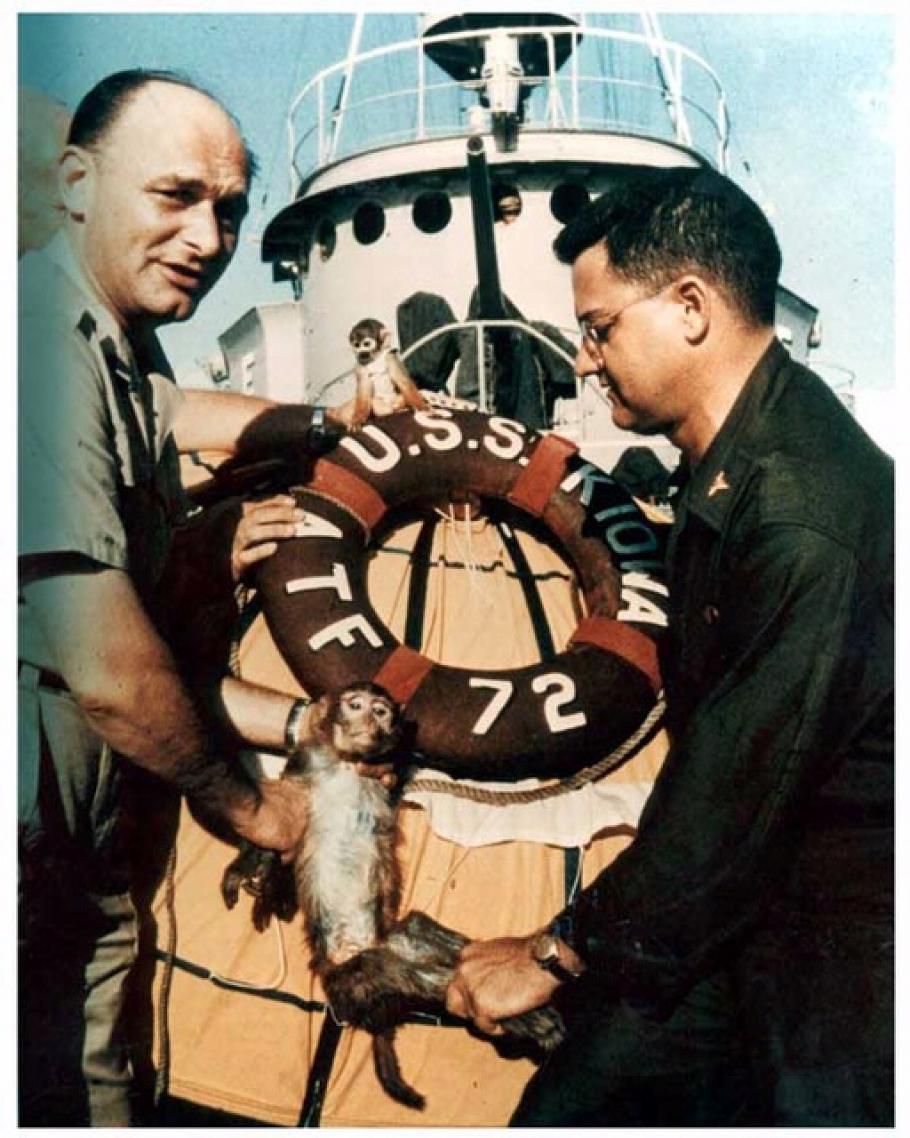 Able and Baker aboard the Kiowa after returning from space. (Photo: National Air and Space Museum/Smithsonian Institution)