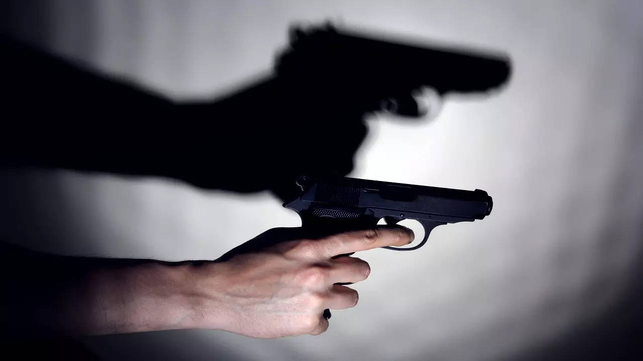 Delhi Passerby shot dead after argument turns fatal Assailants apprehended