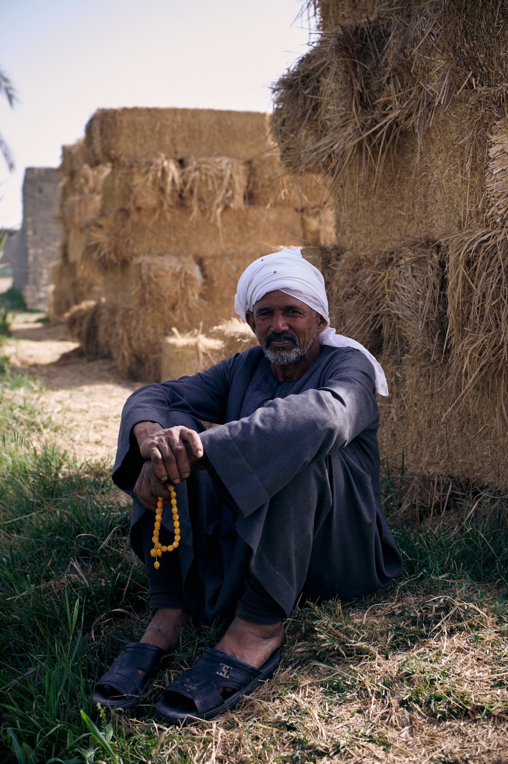 Kotn has developed a network of more than 2,300 farmers in Egypt's Nile Delta.