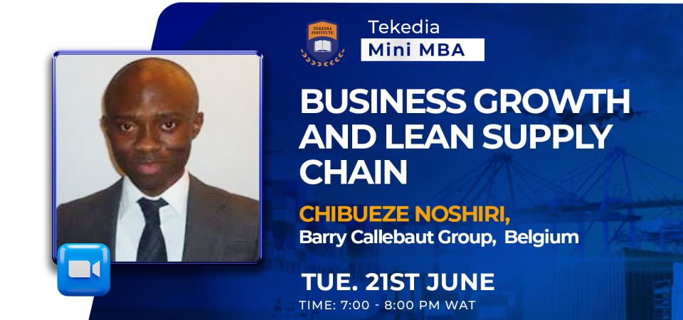 Business Growth and Lean Supply Chain At Tekedia Institute