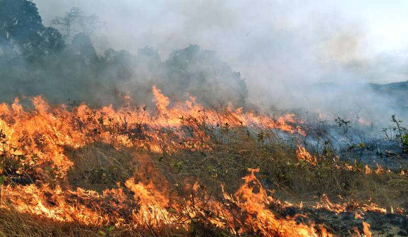 An experimental fire in Lopé National Park in Gabon. Credit: Anabelle Cardoso Crossing fire threshold can quickly turn blazes dangerous