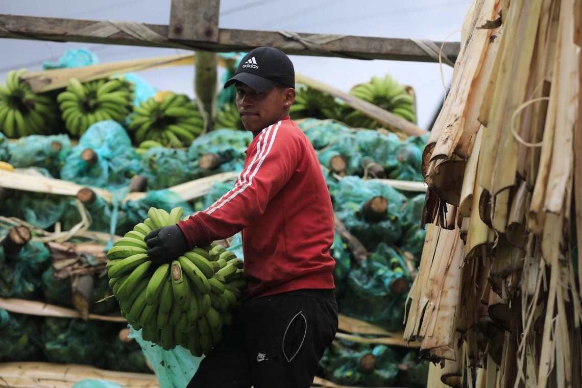 Latin America, inflation, Ukraine