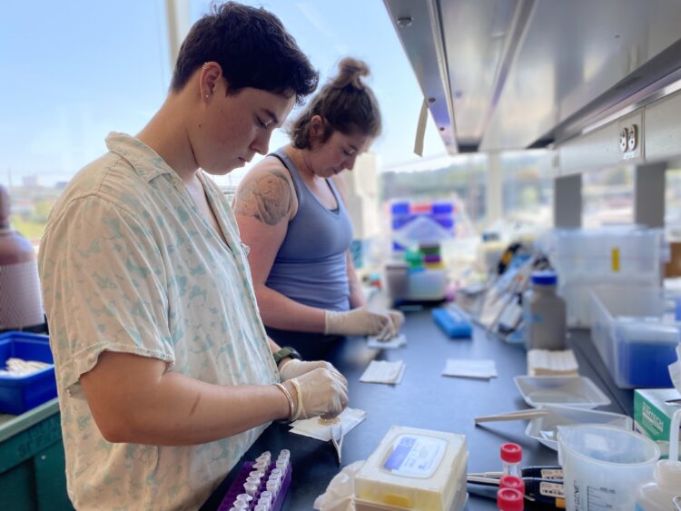 two scientists work in a lab.