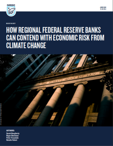 cover of report, How Regional Federal Reserve Banks Can Contend with Economic Risk from Climate Change