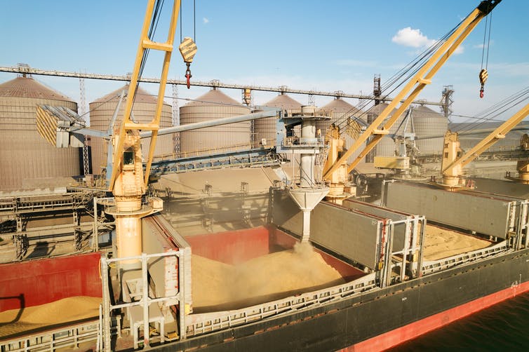 Cranes loading grain on cargo vessels