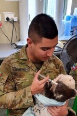 Army reservist Liam Carruthers, son of new Crown Resorts CEO Cieran Carruthers, nurses an injured koala during the 2019-2020 bushfires.