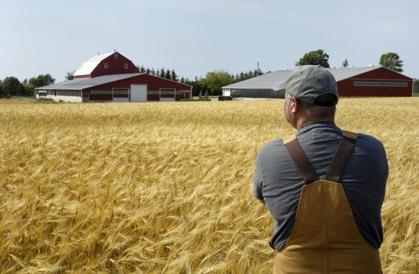 The West can attempt to facilitate the export of grain from Ukraine in order to undermine the Russian blockade of Ukrainian Black Sea ports. Picture © Euromaidan Press