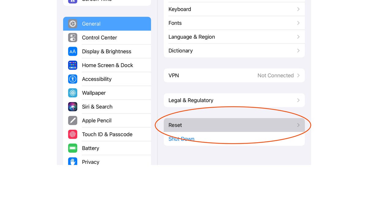 Screenshot of an Apple iPad settings menu