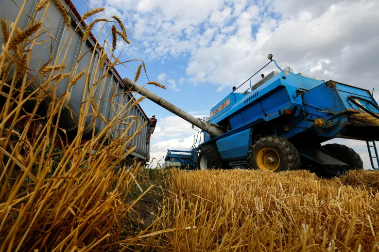 Farm equipment in a field of grain.