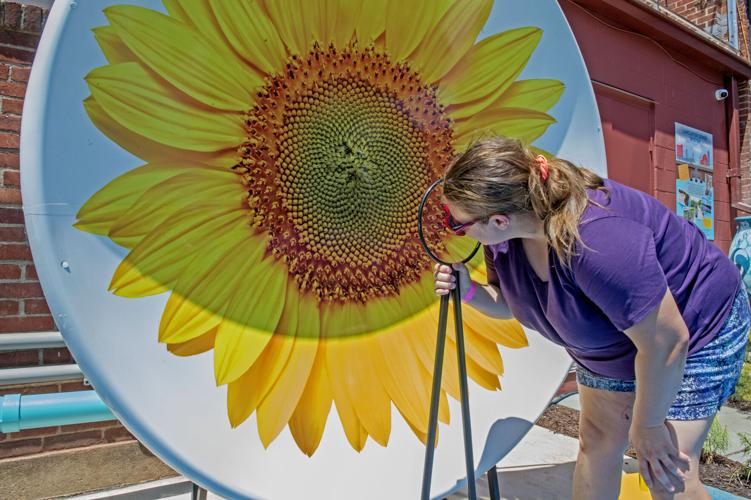 Mueller Family Outdoor Courtyard