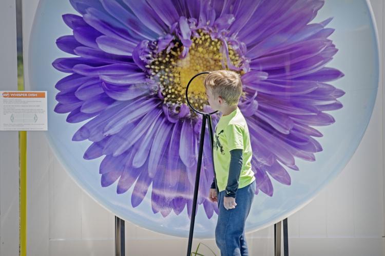 Mueller Family Outdoor Courtyard