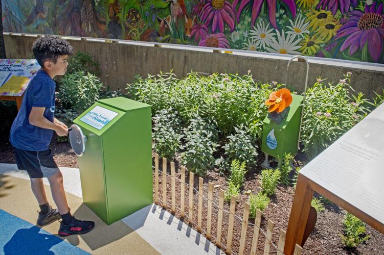 Mueller Family Outdoor Courtyard