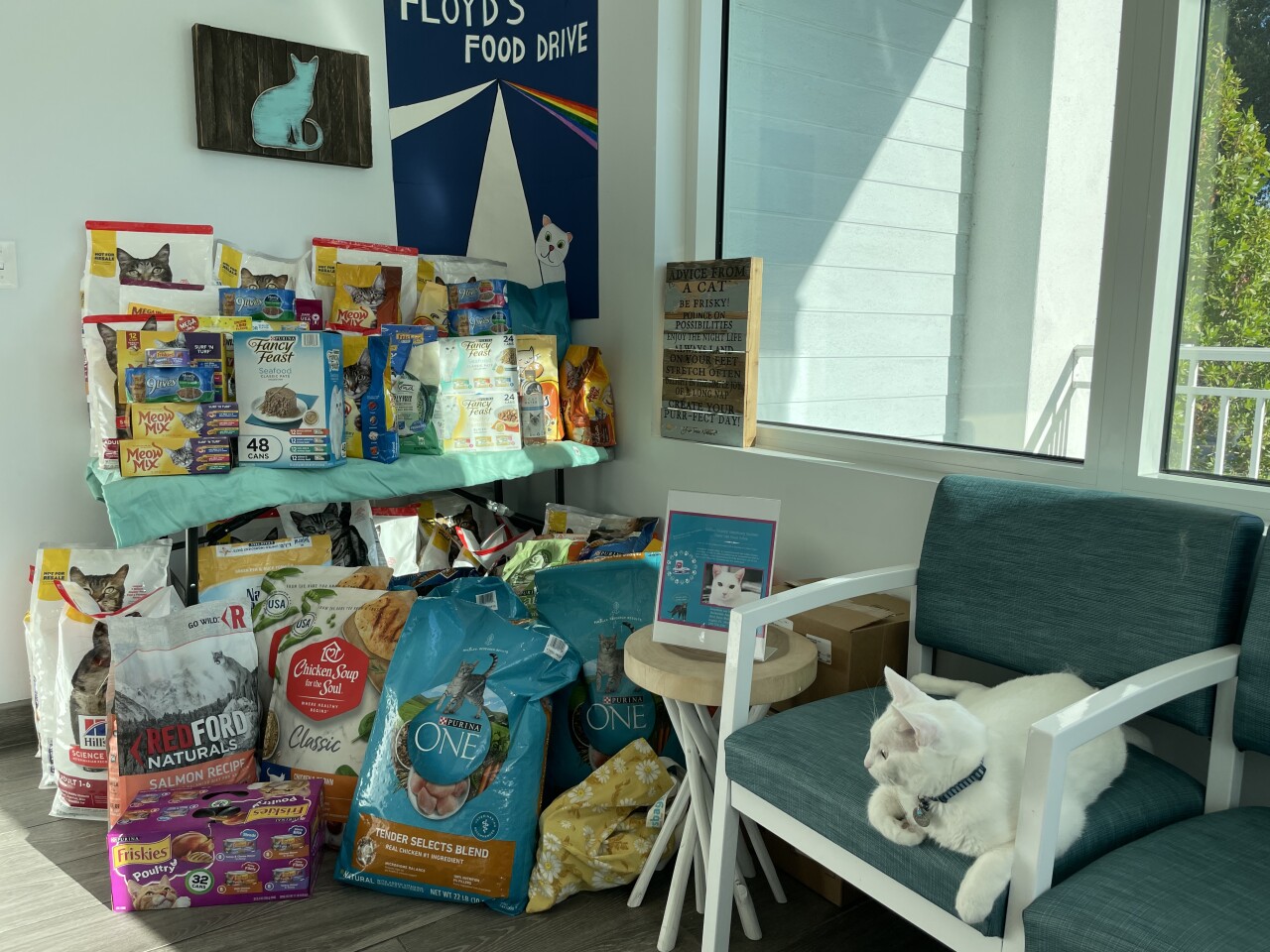 Harborside Animal Hospital Floyds Food Drive.JPG