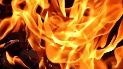 Eyewitnesses said that the fire broke out suddenly in the shed and spread within a few seconds. (Repreentative image) banner img