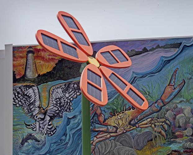 Mueller Family Outdoor Courtyard