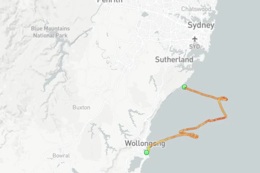 A map with a line on it showing a ship's path