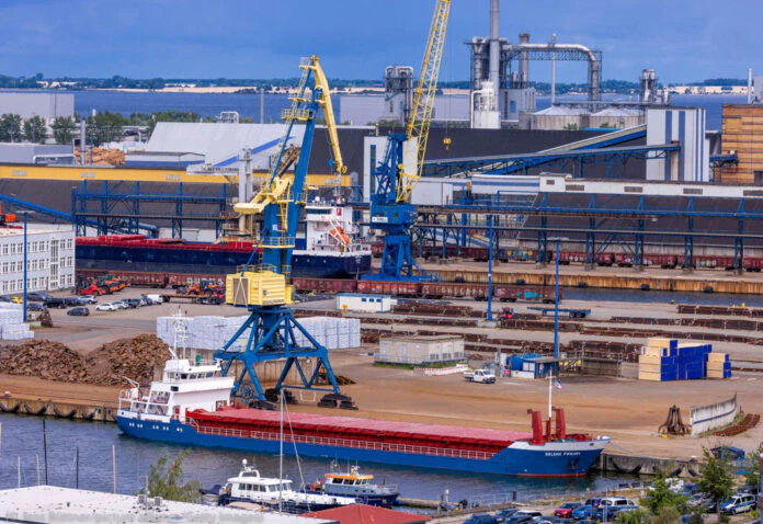Cargo ships unloading at port (© Jens Büttner/picture alliance/Getty Images) Cargo ships unloading at port (© Jens Büttner/picture alliance/Getty Images)