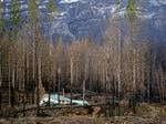 Mary Bradshaw's fire-hardened home in Elkhorn, Oregon, on Feb. 26, 2021. It was one of few that survived the Beachie Creek fire in the area likely because it was built using fire-resistant materials and had no vegetation around the house.