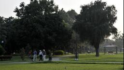 GMADA will convert the land into a green belt, which will comprise a jogging park with multiple trees and flowering plants. (HT Photo/for representation only)