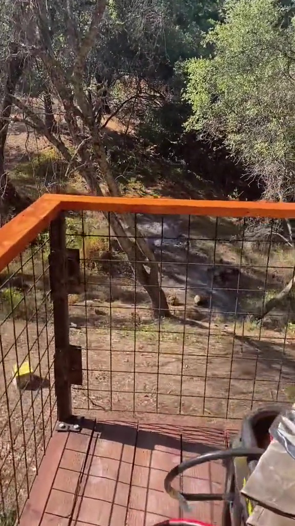 They even build a balcony for her to enjoy the view on