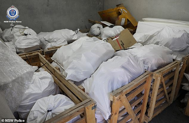 NSW Police Commissioner Karen Webb said in a press conference on Thursday that the drugs seized equated to '7.5million individual deals of ice' that would 'no longer be on our streets or affecting the health of our citizens'