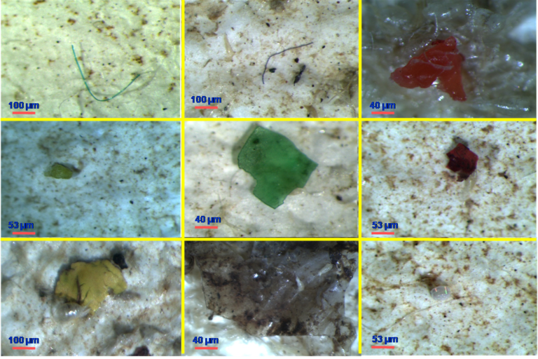 Image shows microplastics under a microscope