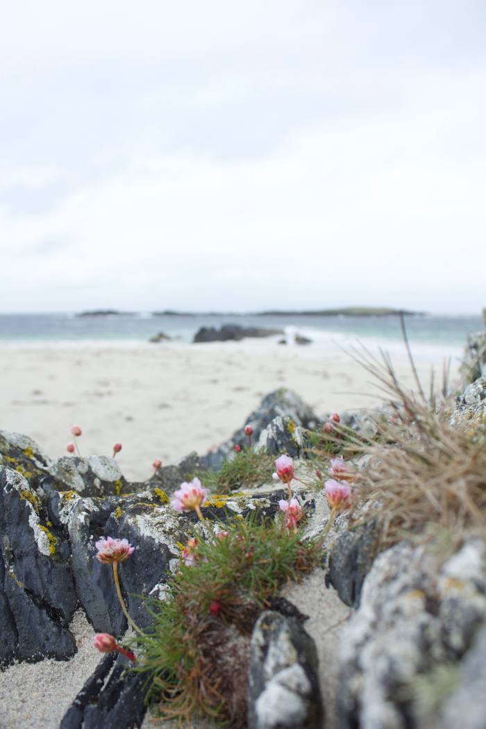 White Strand (Tràigh Bàn), a beach at the northern tip of Iona