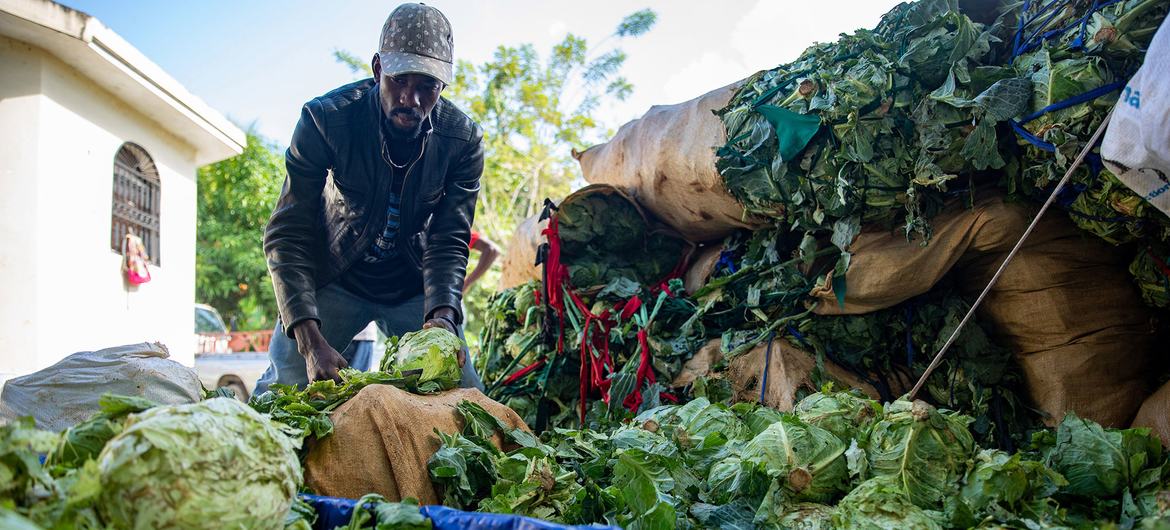 Farmers in the south of Haiti are struggling to get their goods to markets Farmers in the south of Haiti are struggling to get their goods to markets