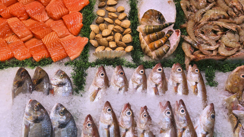 Water firms accused of harming UK’s seafood supply chains through sewage dumping